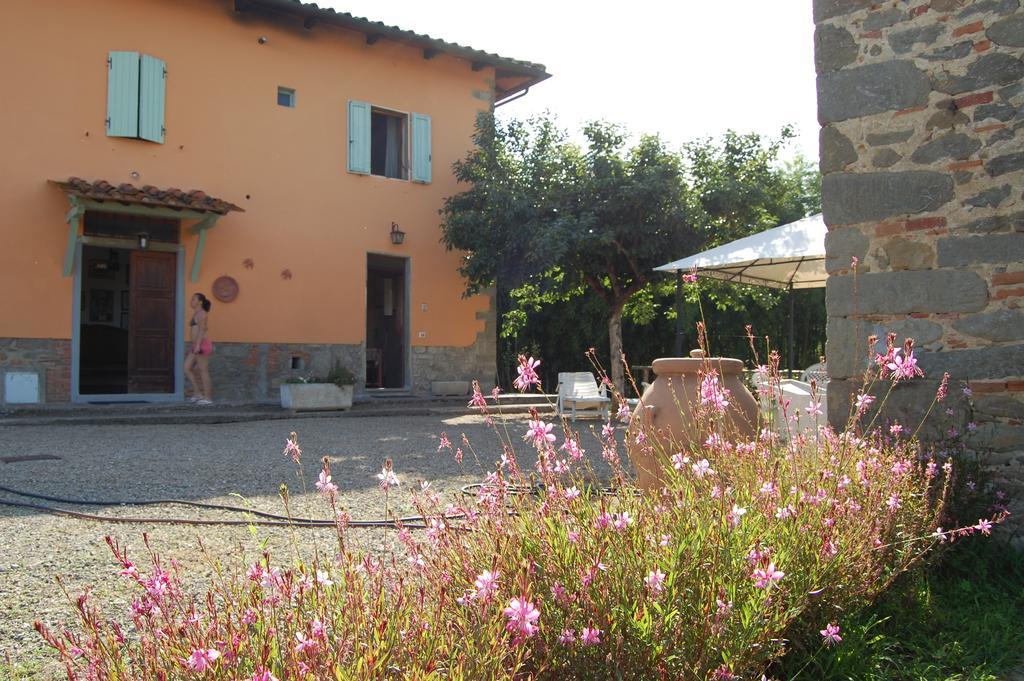 Fattoria Antognoni Villa Reggello Exterior photo